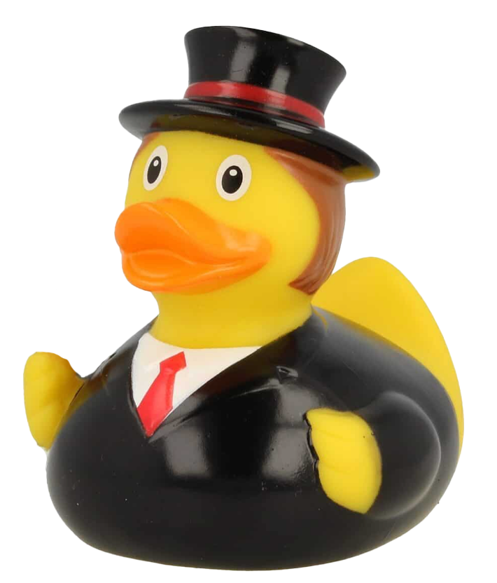 Canard en costume de travail